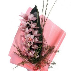 Orchid Simpitium