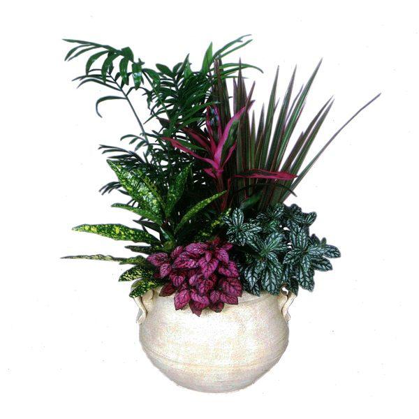 Plant Arrangement with Purple Detail Frentzos Flowers-Florist in Athens-Agia Paraskevi-Greece Plant compositions