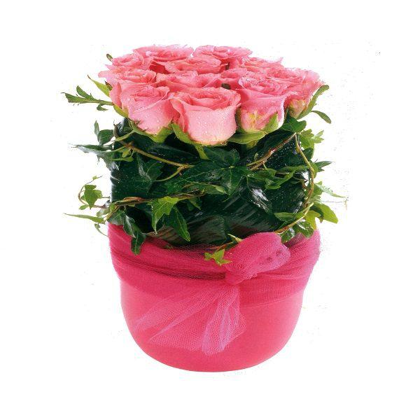 Groping Roses Frentzos Flowers-Florist in Athens-Agia Paraskevi-Greece Celebration - Birthday