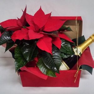 Red Box with Poinsettias and Wine