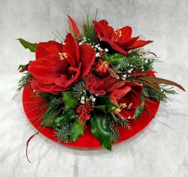 Red Plate with Amaryllis Frentzos Flowers-Florist in Athens-Agia Paraskevi-Greece Christmas