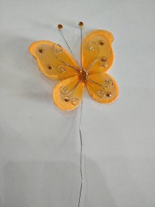 Πορτοκαλί Πεταλούδα!