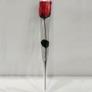 Rose Εσώρουχο!