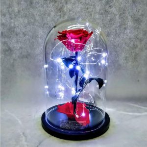 beauty and the beast extra large bell glass forever rose