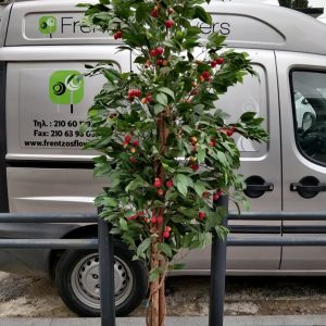 Synthetic Cherry 2 meters