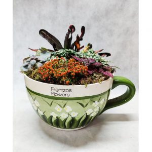 Cup of Plants
