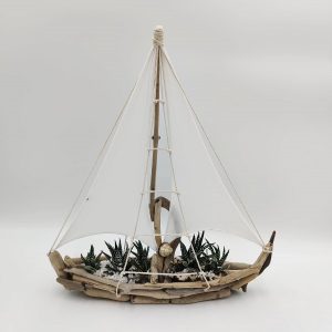 Boat made of Sea Wood with Succulent Composition