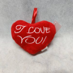 Valentines Present Red I Love You Pillow