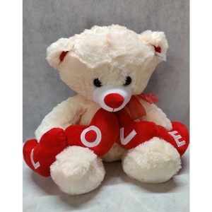 Valentines Teddy Bear Love